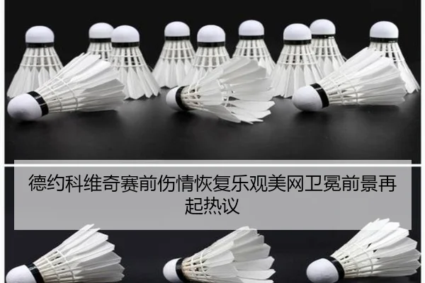 德约科维奇赛前伤情恢复乐观美网卫冕前景再起热议 | BOYUSPORTS